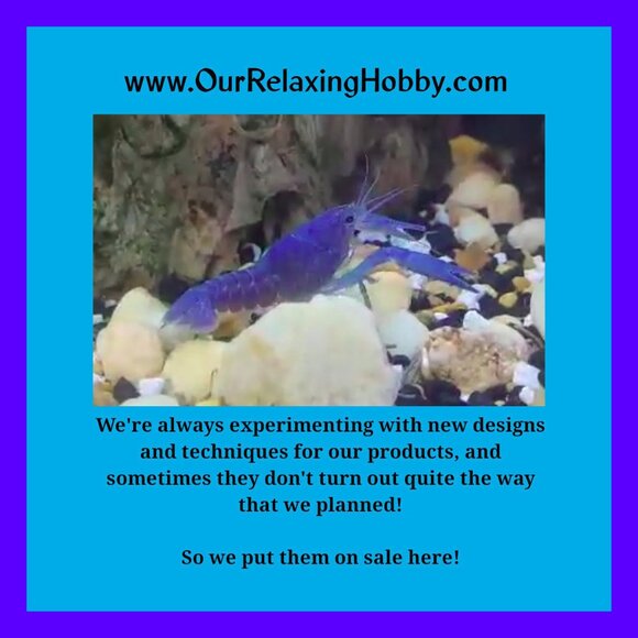 MEET THE FISHY CLOSET! - Picture 9 of 10